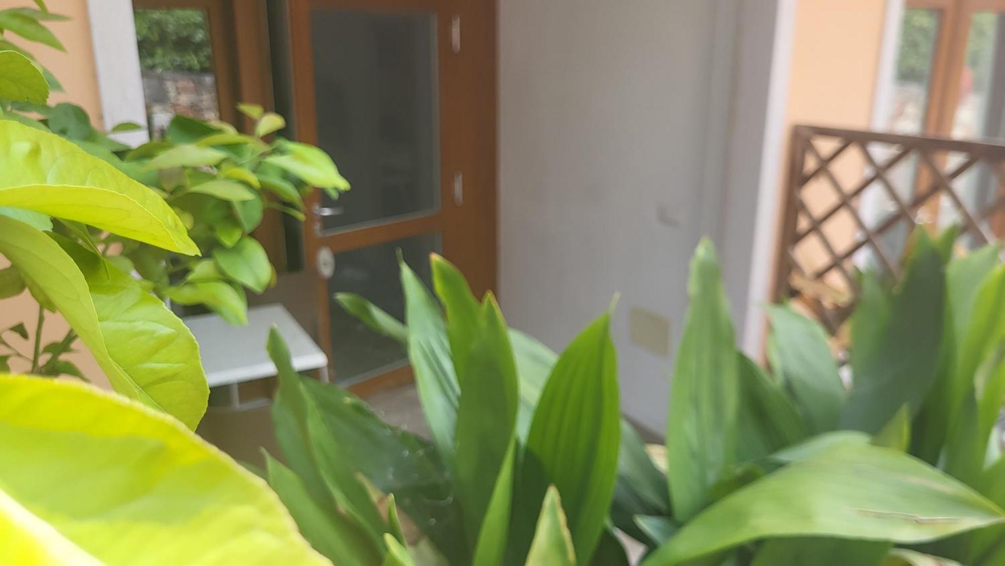 Residence Villa Margherita Brenzone sul Garda Ngoại thất bức ảnh