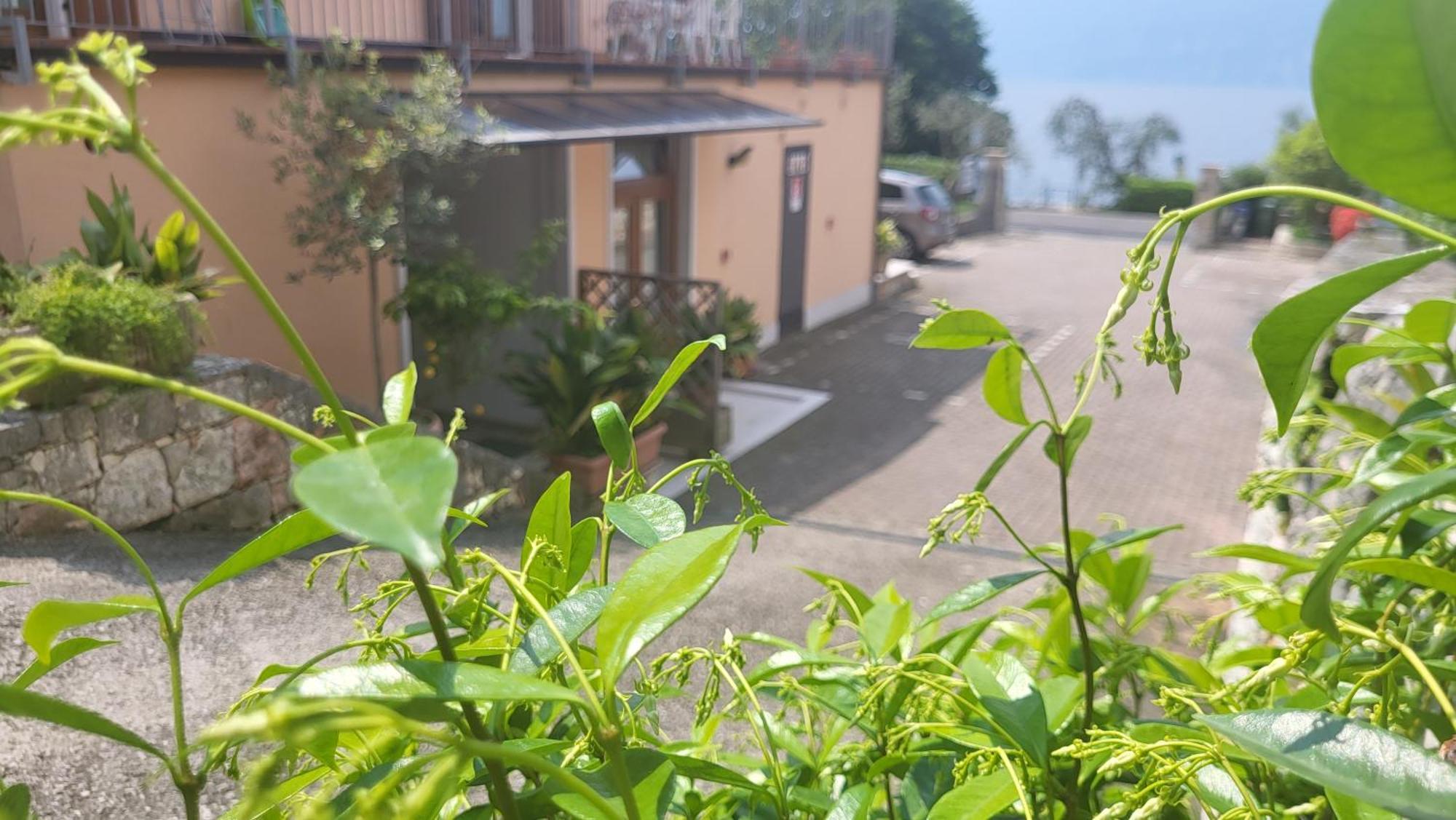 Residence Villa Margherita Brenzone sul Garda Ngoại thất bức ảnh
